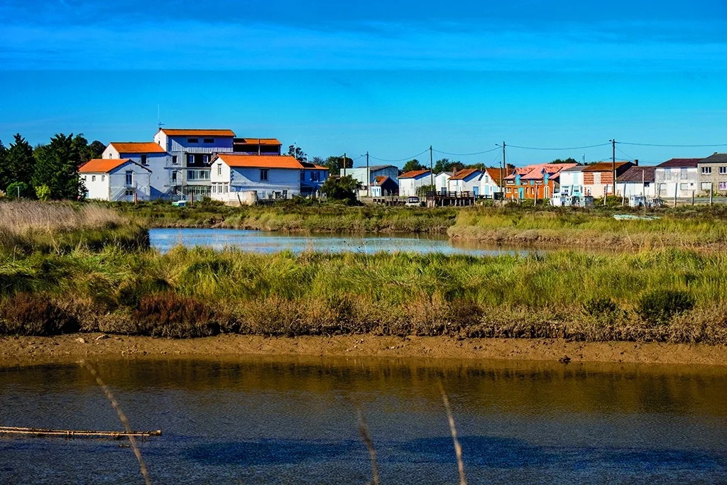 Chaillevette : l’authenticité de la Charente-Maritime entre marais et océan